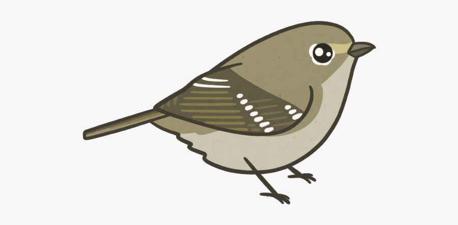 Hutton"s Vireo By Birds And Friends, Transparent Clipart