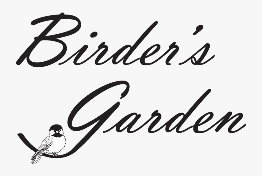 Calligraphy, Transparent Clipart