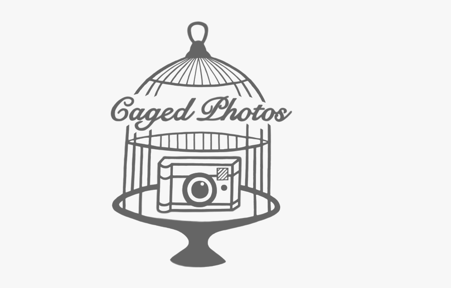 Bird Feeder Clipart, Transparent Clipart