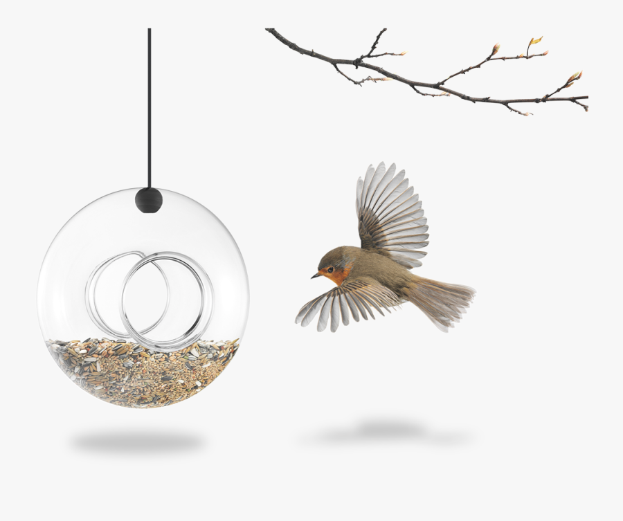 Bird Feeder Gessato - Lesyklėlė Iš Plastikinio Butelio, Transparent Clipart