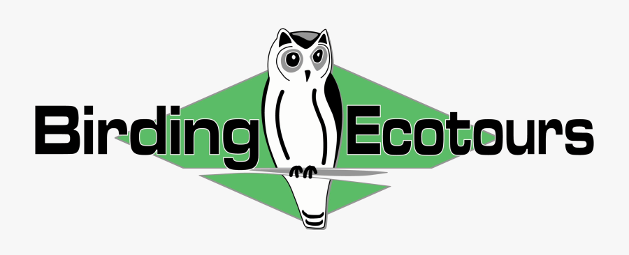 Birding Eco Tours Logo, Transparent Clipart