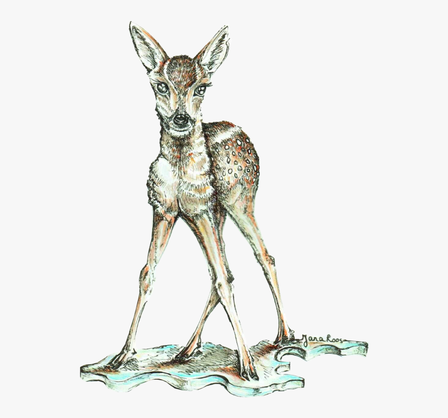 Drawn Bambi Hand - Roe Deer, Transparent Clipart