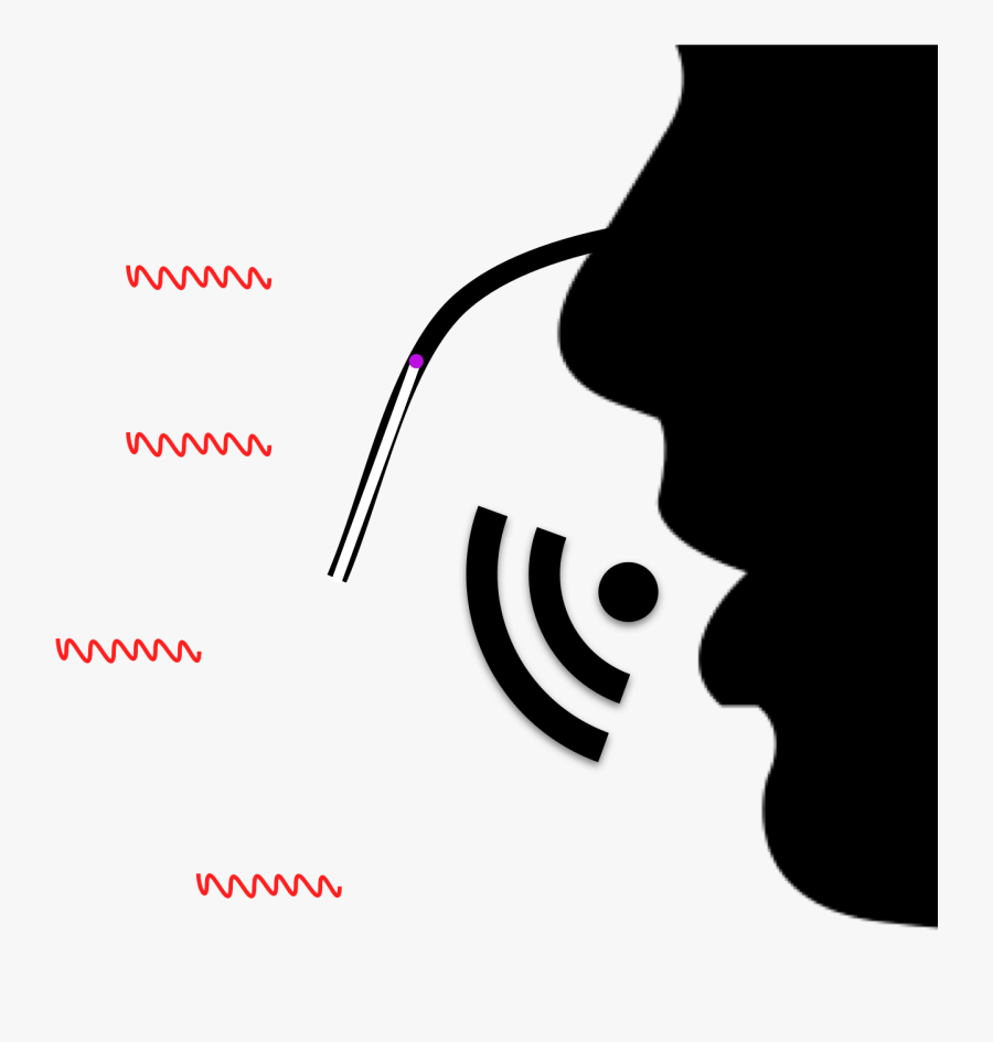Voice Tube Diagram - Graphic Design, Transparent Clipart