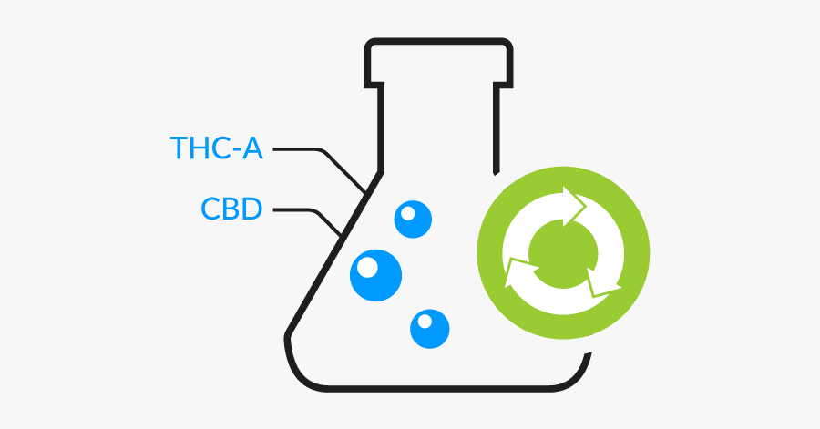 Clip Art Processing Manufacturing Software Inventory - Circle, Transparent Clipart