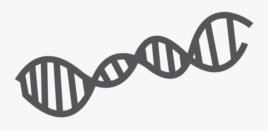 Science Tools Clipart, Transparent Clipart