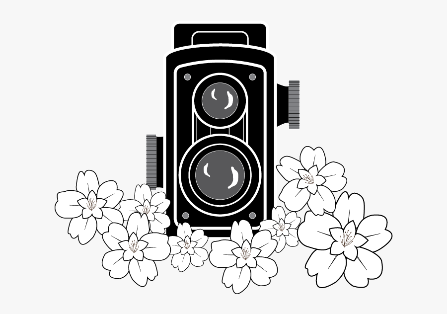 Transparent Cherry Blossom Clipart Black And White - Illustration, Transparent Clipart