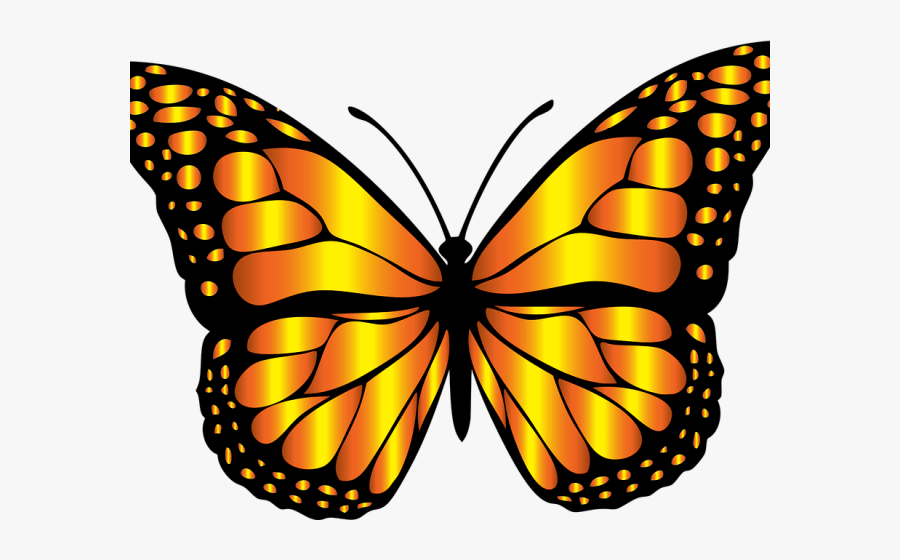 Monarch Butterfly Clipart Monach - Grey Butterfly Clipart, Transparent Clipart