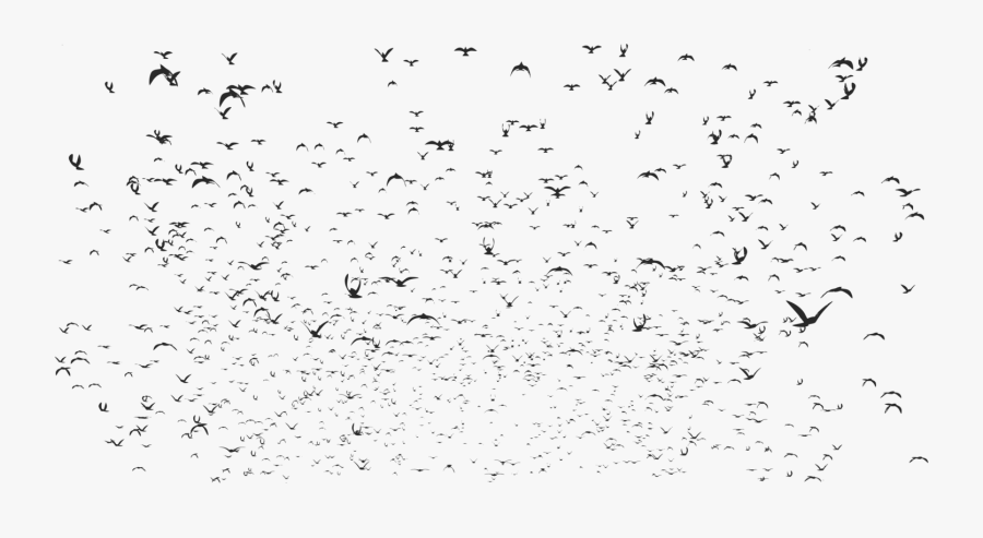 Flock,bird Migration,animal Migration - Bird, Transparent Clipart
