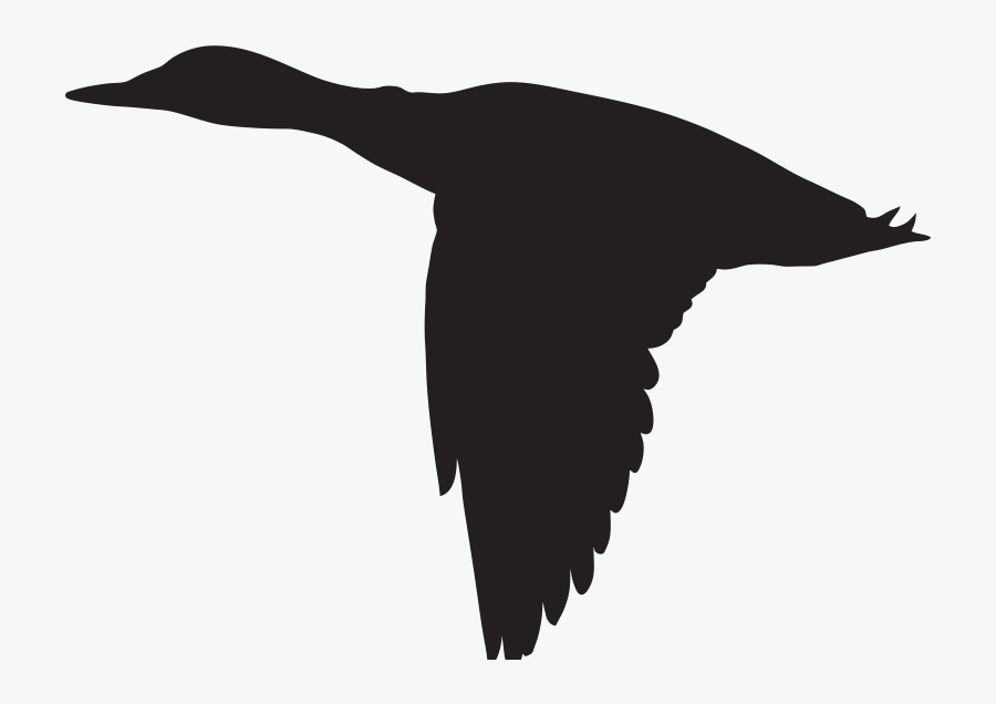 Duck Flying Silhouette Png, Transparent Clipart