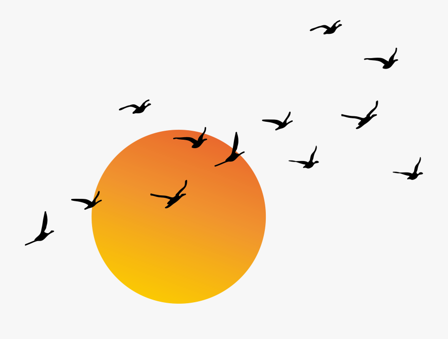 #ftestickers #clipart #sun #sunlight #birds #flock - Transparent Good Morning Png, Transparent Clipart