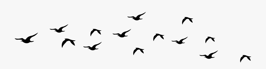 Flock, Transparent Clipart
