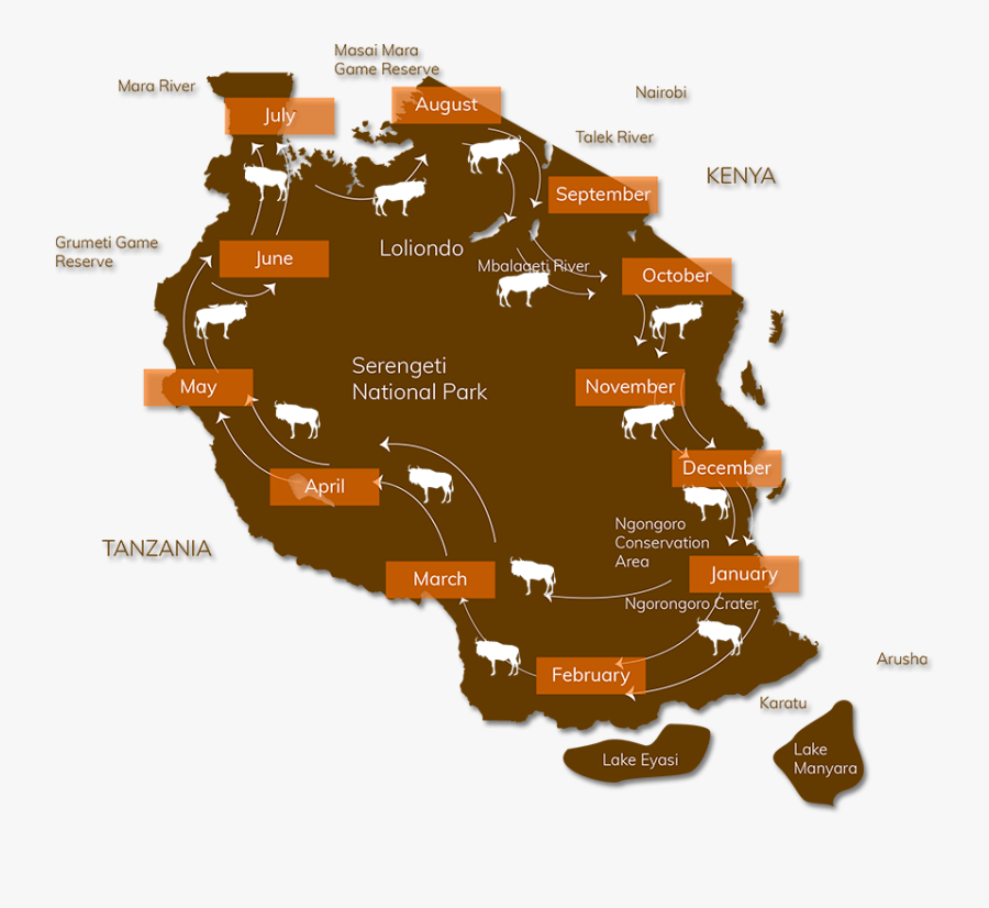 Great Wildebeest Migration Map, Transparent Clipart