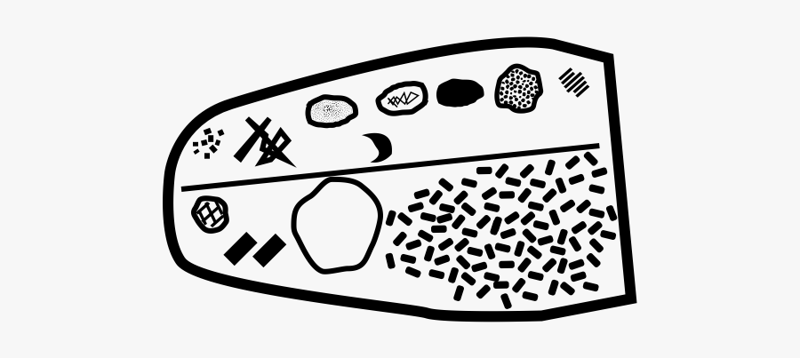 Clip Art, Transparent Clipart