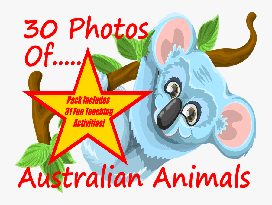Photos And Images Of Australian Animals - Climb A Tree Png Clipart, Transparent Clipart