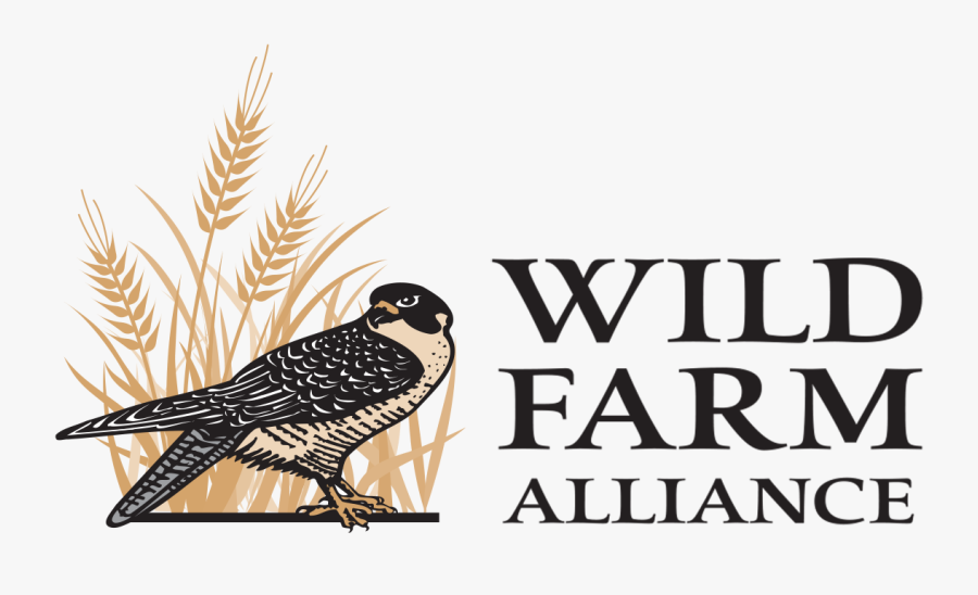 Alliance Virtual Offices Logo , Free Transparent Clipart ClipartKey