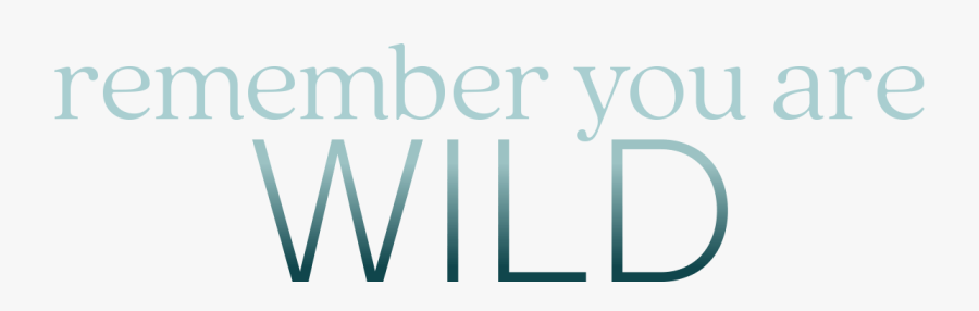 Graphic Design, Transparent Clipart