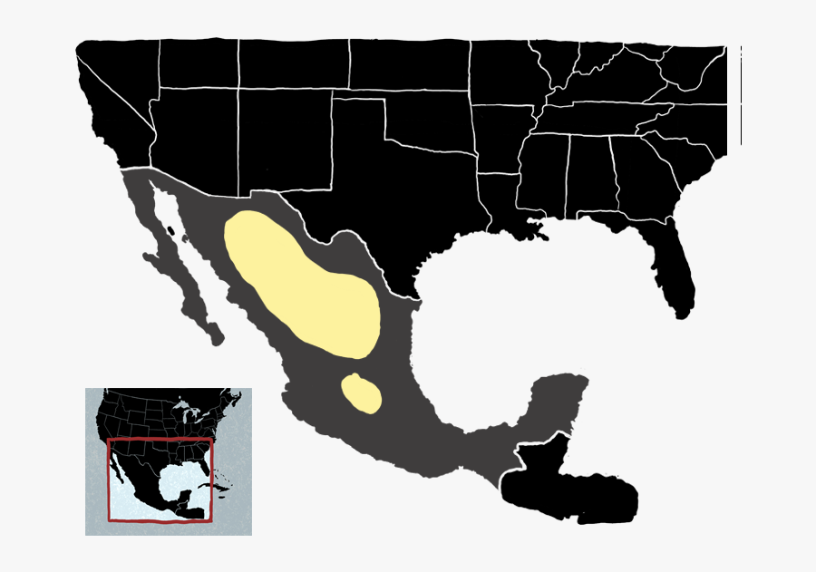 D3js Map Path, Transparent Clipart