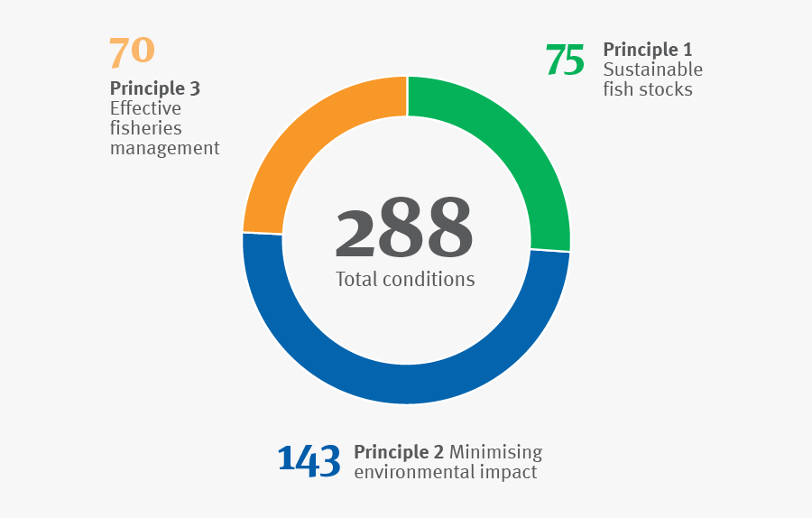 Circle, Transparent Clipart