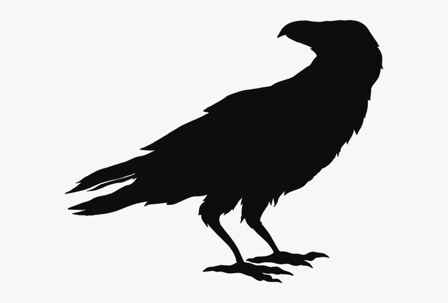 Owl Bird Silhouette Clip Art - Black And White Silhouette Owl, Transparent Clipart