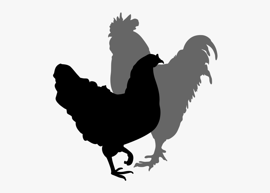 Chicken Silhouette Clipart Best - Rooster, Transparent Clipart