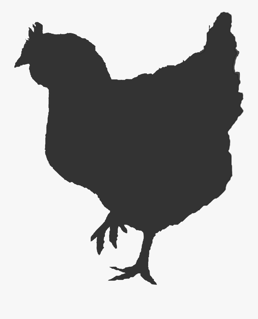 Ontario Broiler Chicken Hatching Egg Producers Association - Broiler Chicken Black And White, Transparent Clipart