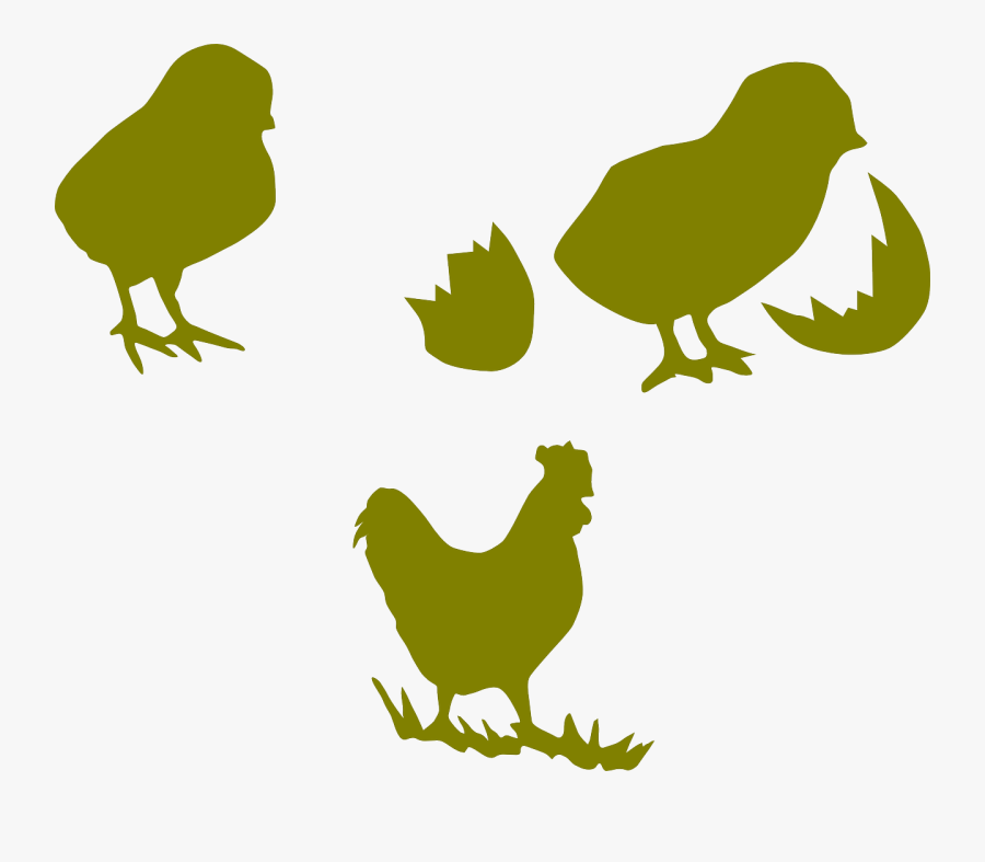 Poultry Farm Chicks Logo, Transparent Clipart