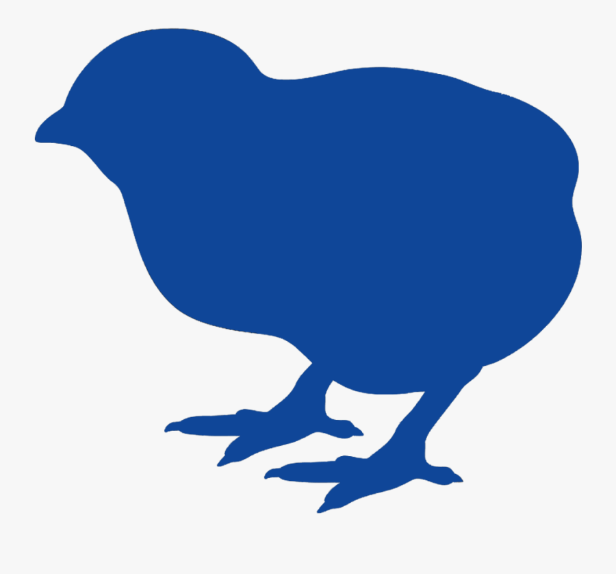 Pollito1, Transparent Clipart