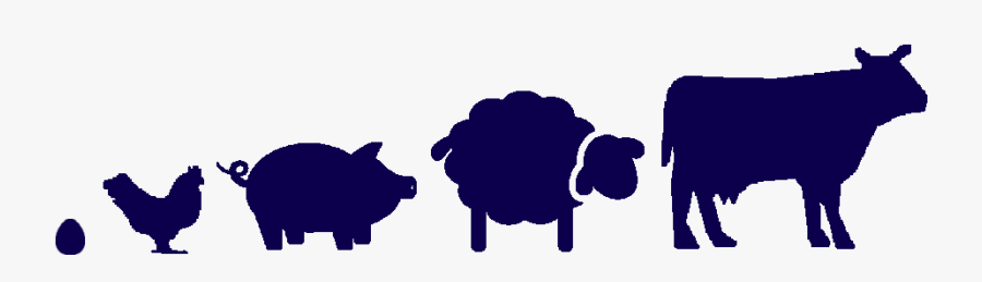 Sheep, Transparent Clipart