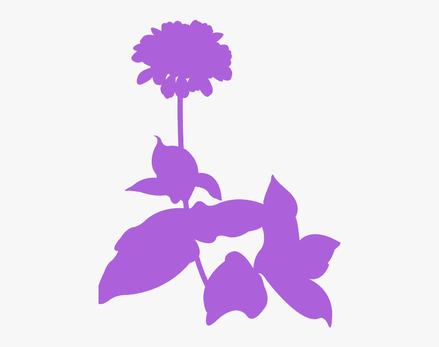 Orchid, Transparent Clipart