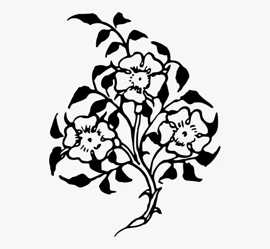 Petal Clipart Flower Silhouette - Common Peony, Transparent Clipart