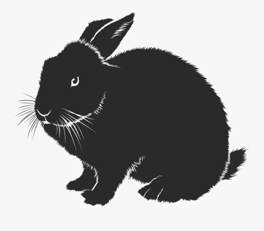 Rabbit Silhouette Black Free Picture - Rabbit Eye Silhouette, Transparent Clipart