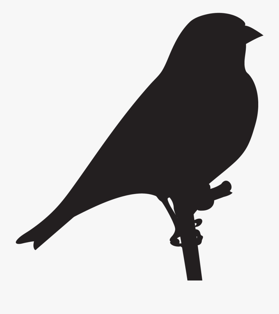 American Goldfinch Silhouette, Transparent Clipart