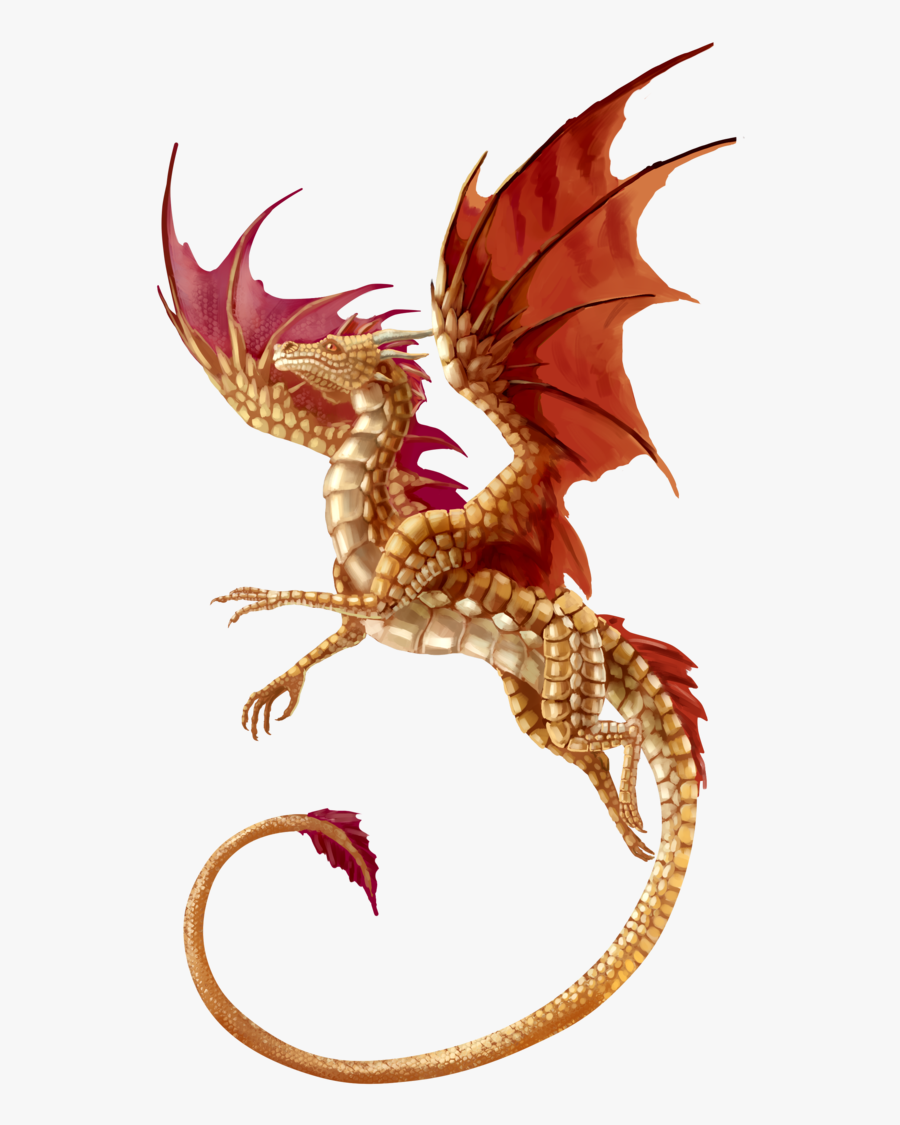 T-shirt Dragon Fantasy - Transparent Background Transparent Dragon, Transparent Clipart