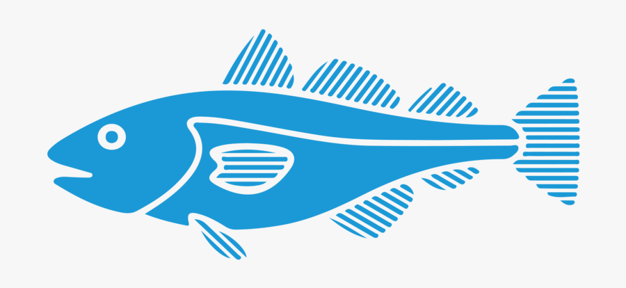 Local Inshore Fishing Information, Transparent Clipart