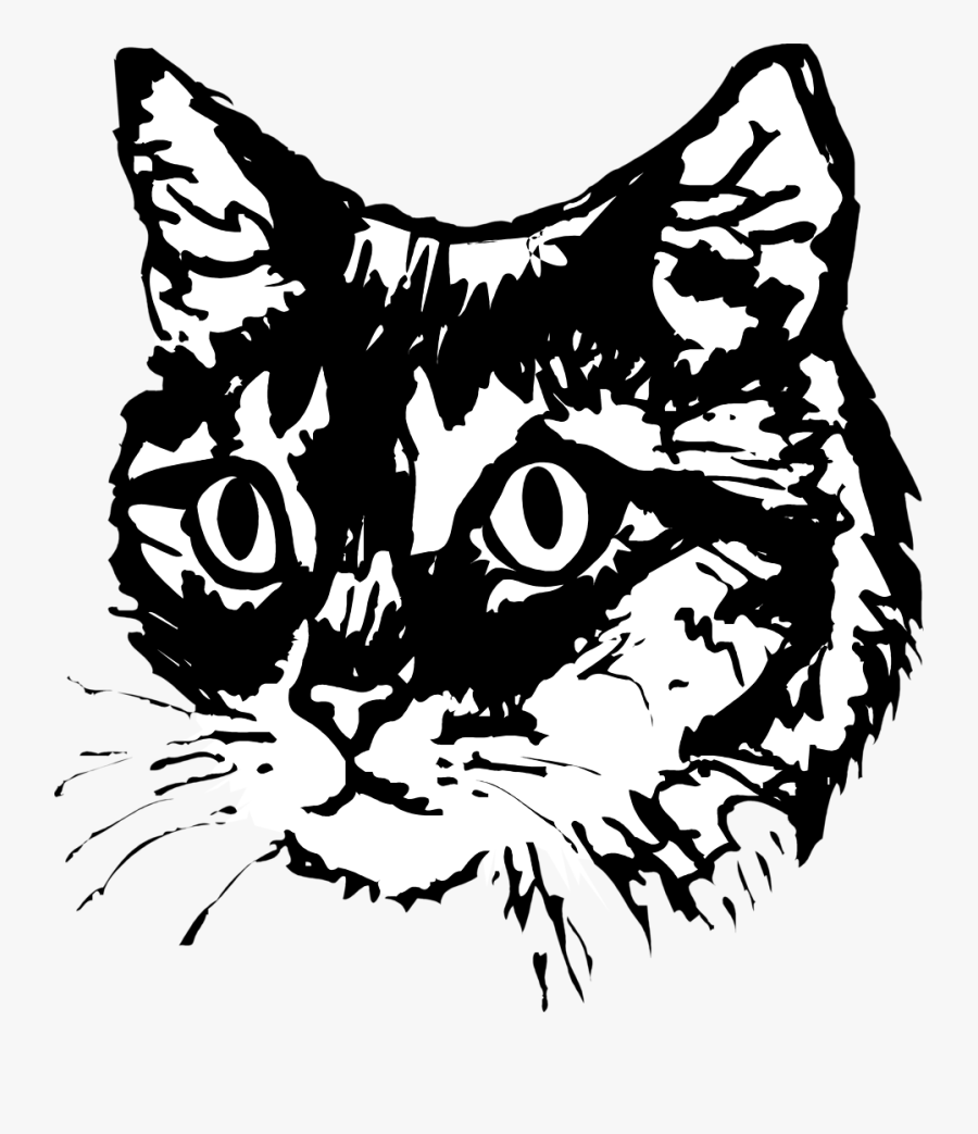 Vector Cat Face - Vector Black And White Cat, Transparent Clipart
