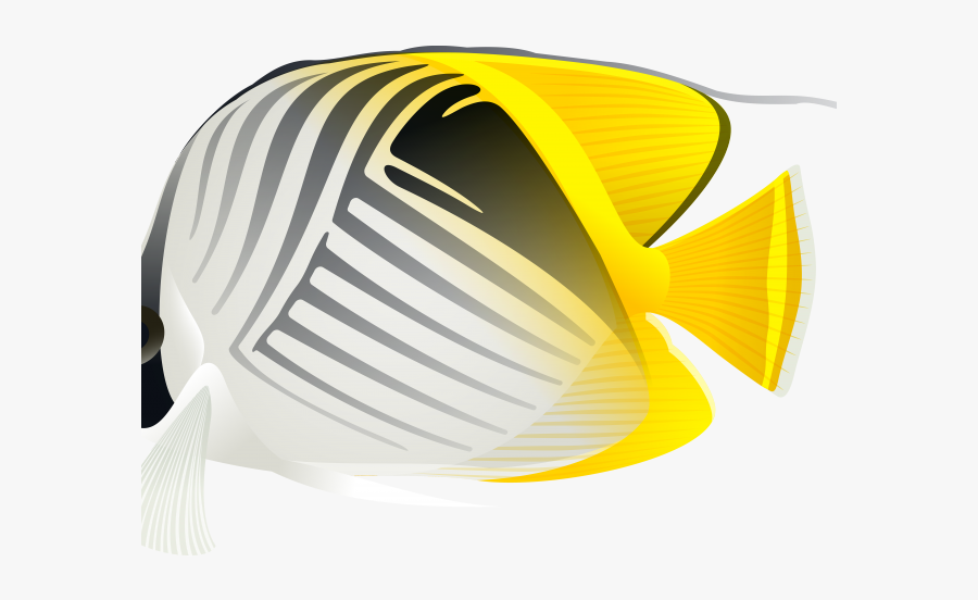 Butterflyfish, Transparent Clipart