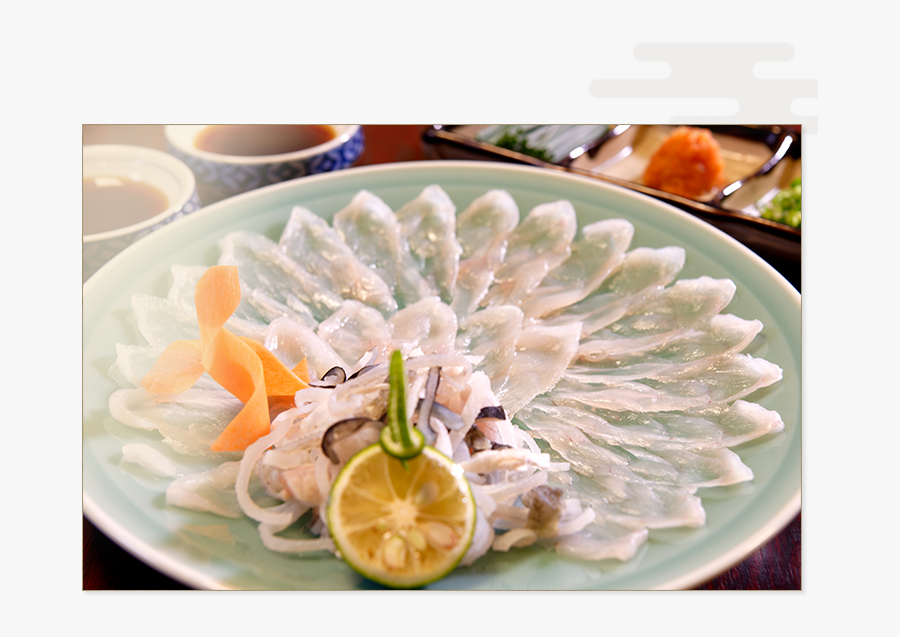 Transparent Puffer Fish Png - Fugu, Transparent Clipart