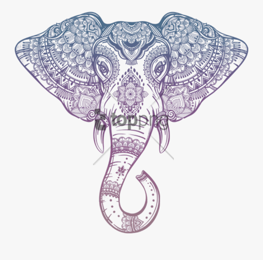 Elephant - Indian Elephant Head Drawing, Transparent Clipart