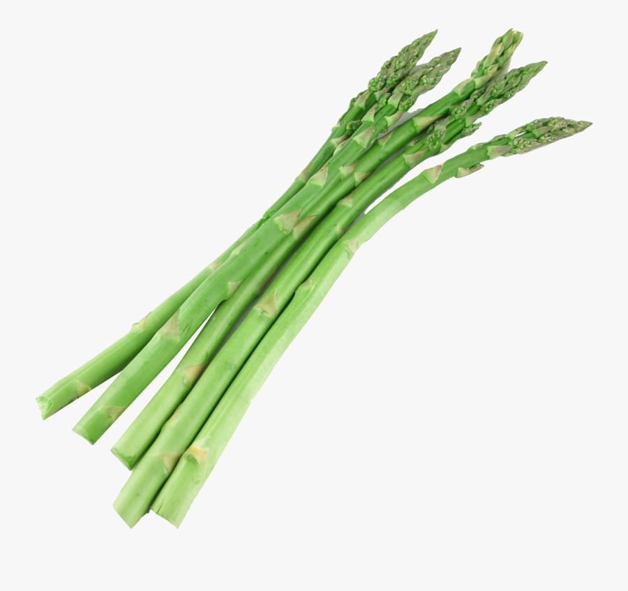 Transparent Vegetable Garden Png - Asparagus Clipart, Transparent Clipart