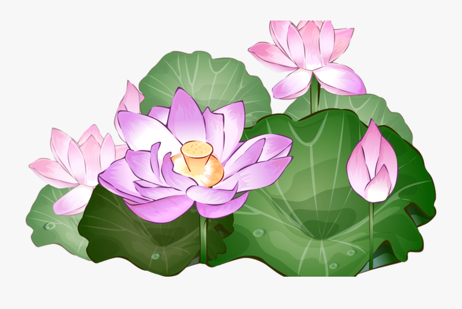 Transparent Background Lotus Plant Png, Transparent Clipart