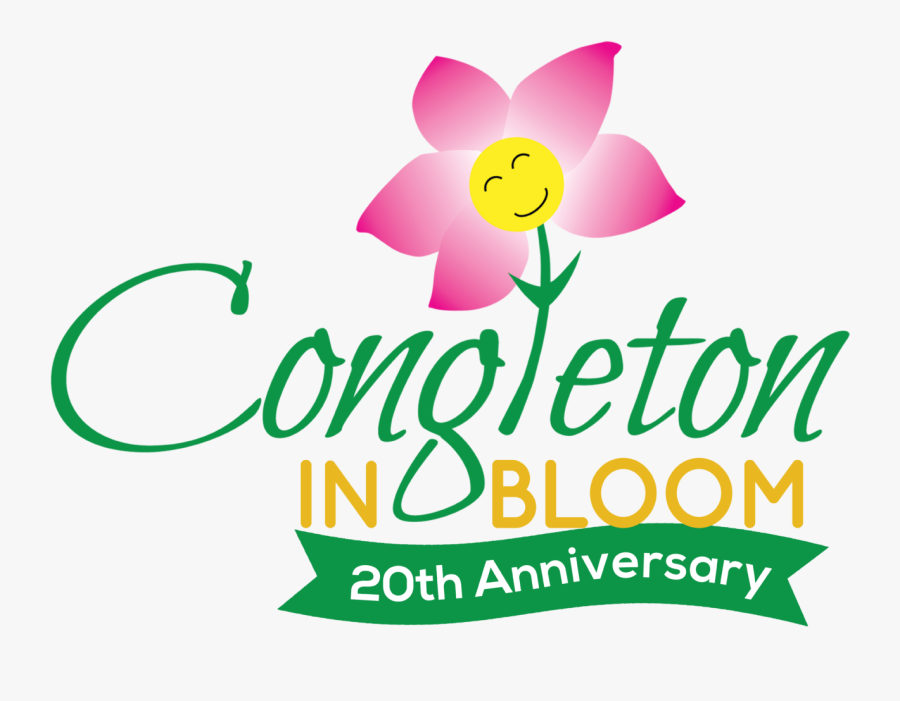 Northern Lights, Transparent Clipart