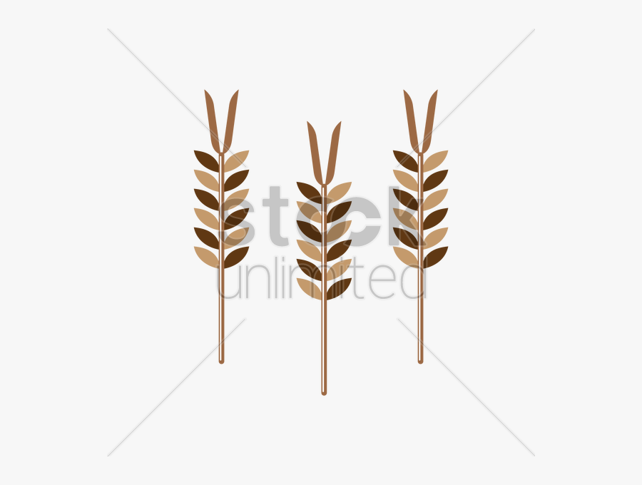 Cereal Clipart Wheat Stalk For Free Download And Use - Illustration, Transparent Clipart