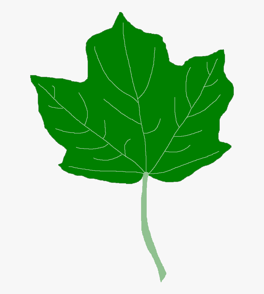 Black Maple Tree - Maple Leaf, Transparent Clipart
