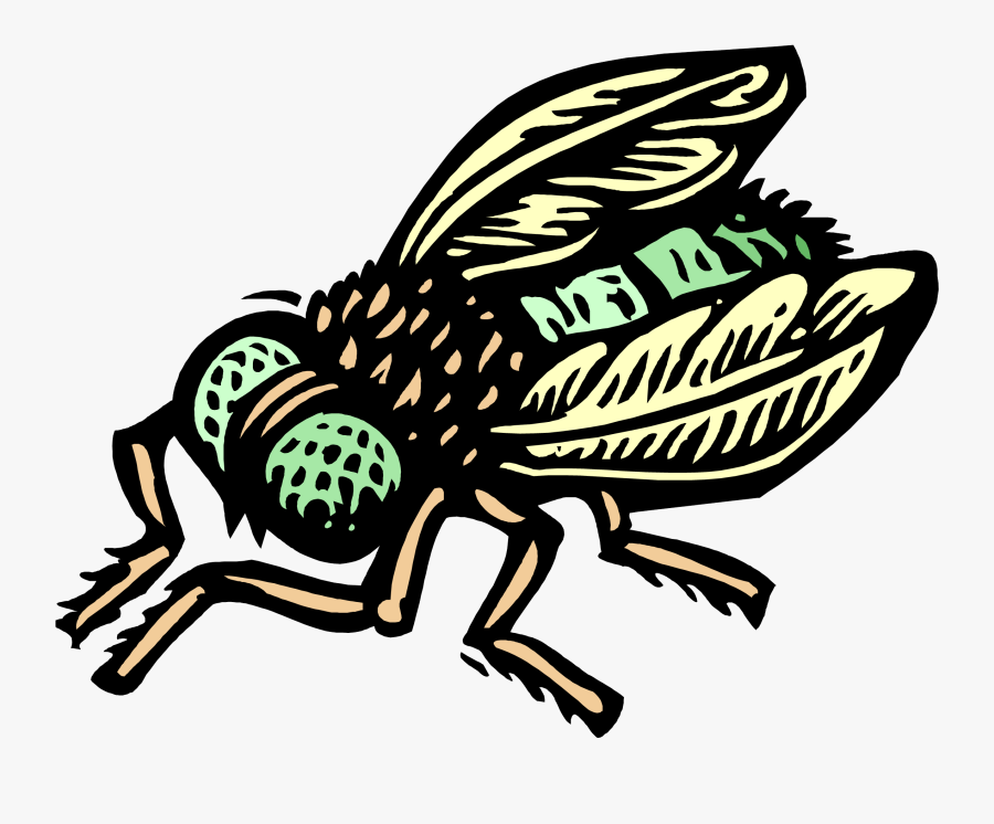 Vector Illustration Of Common Housefly Insect Fly - Organism Has The Highest Biotic Potential, Transparent Clipart