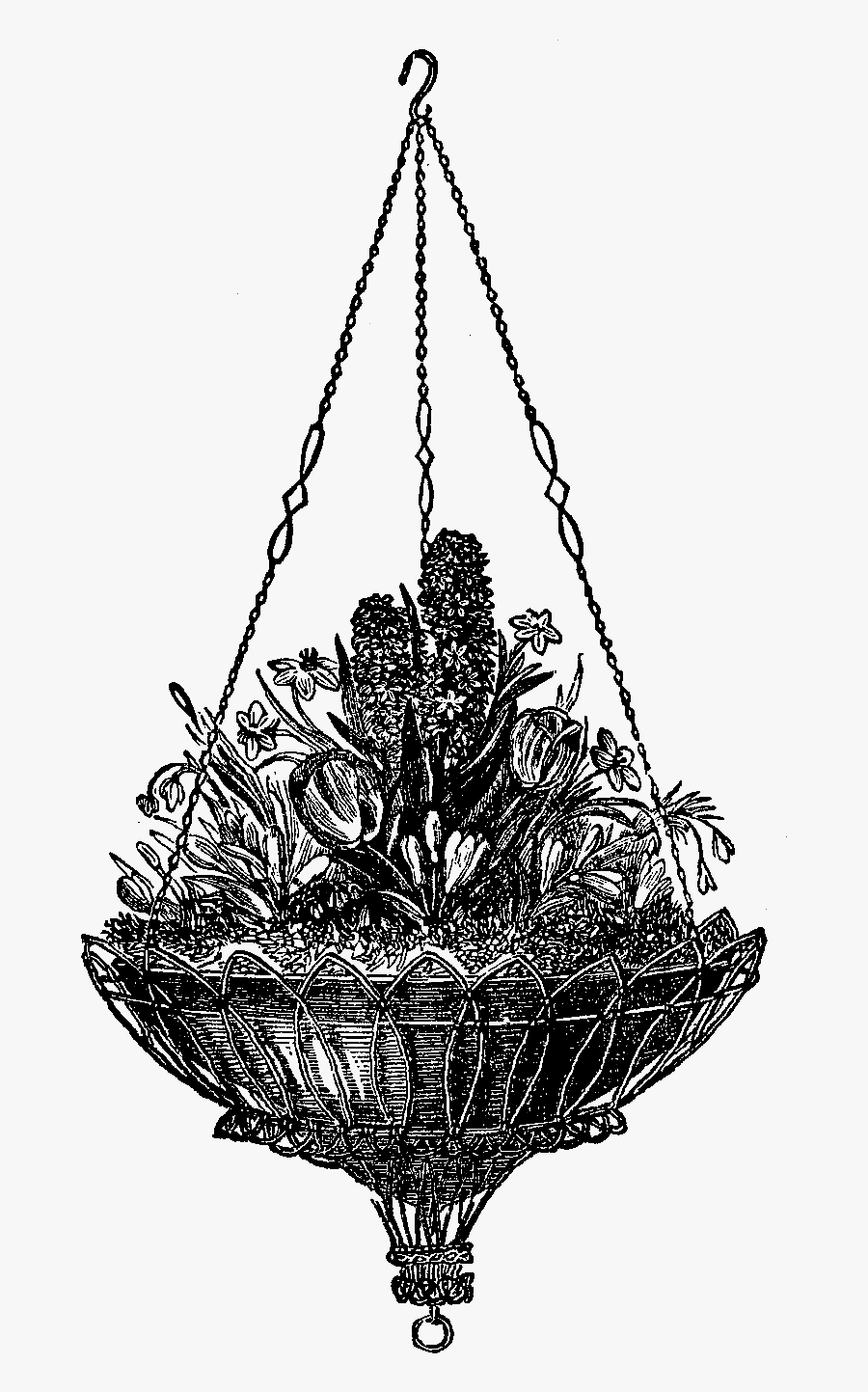 Illustration, Transparent Clipart