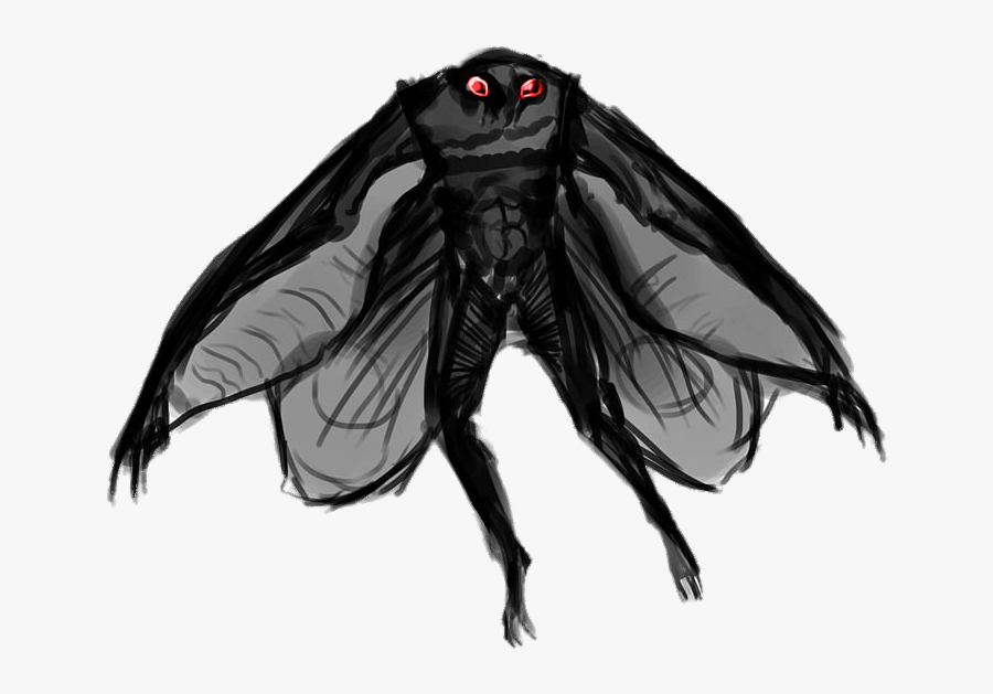 Point Pleasant Mothman - Mothman Png, Transparent Clipart