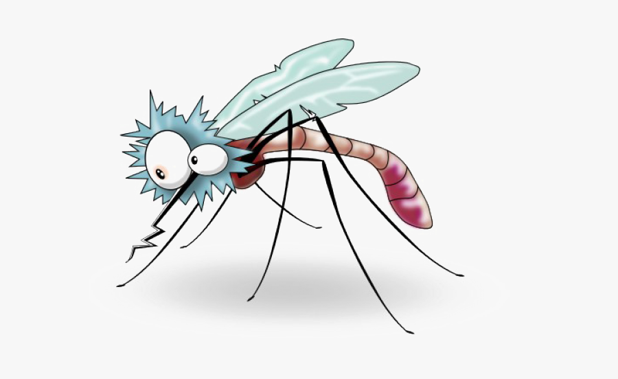 Transparent Background Mosquito Clipart, Transparent Clipart