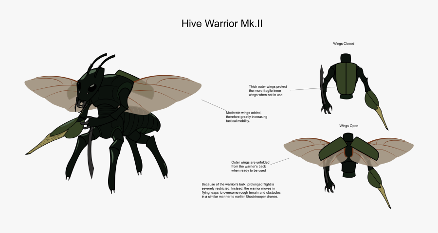 Transparent Angel Wings - Illustration, Transparent Clipart