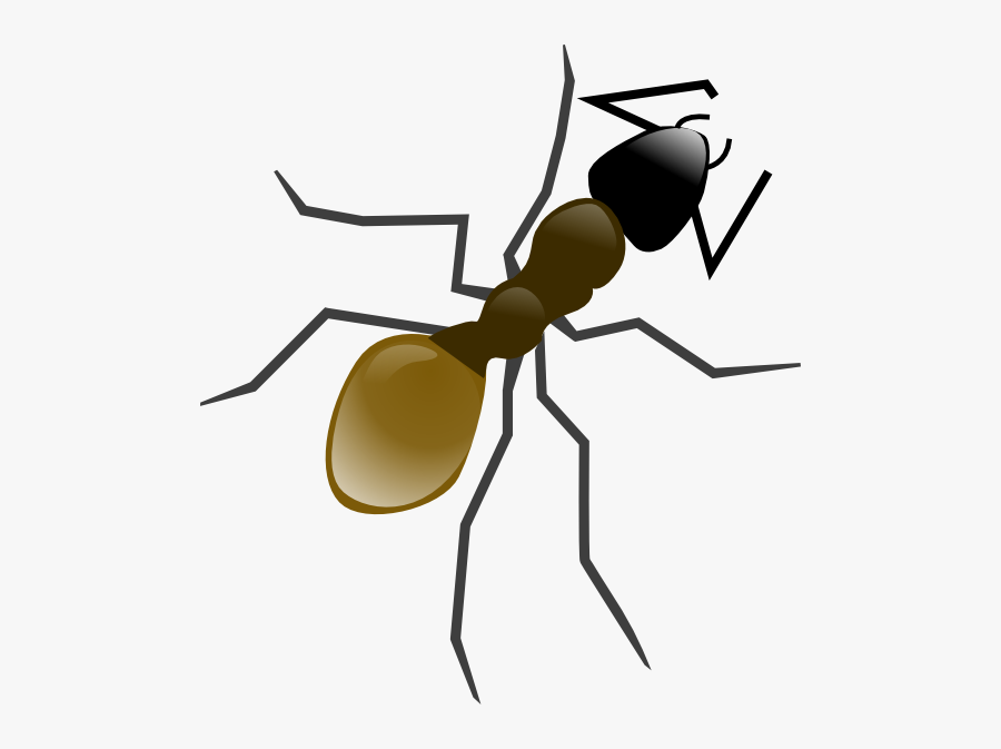 Ant Clip Art , Free Transparent Clipart ClipartKey