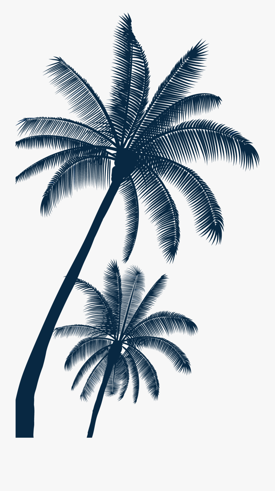 Coastal Florida Sports Park - Diseño Palmeras Sol, Transparent Clipart